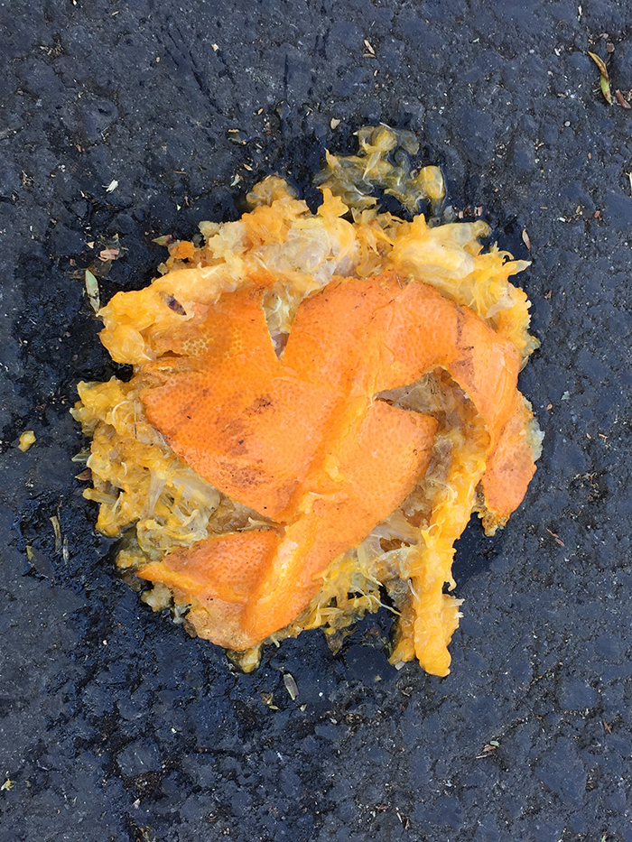 crushed orange (fruit) on asphalt