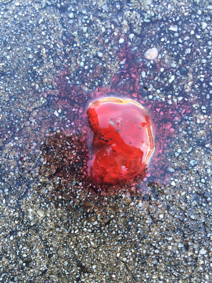 glossy melted red candy bleeding outwards on wet pavement