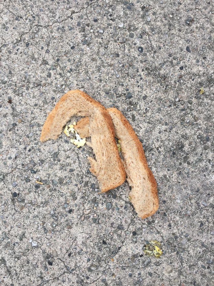 two crusts of sandwich bread curled up together on the ground