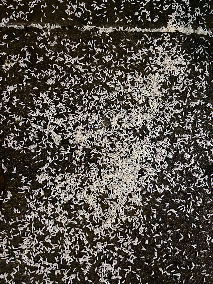 white rice scattered on asphalt