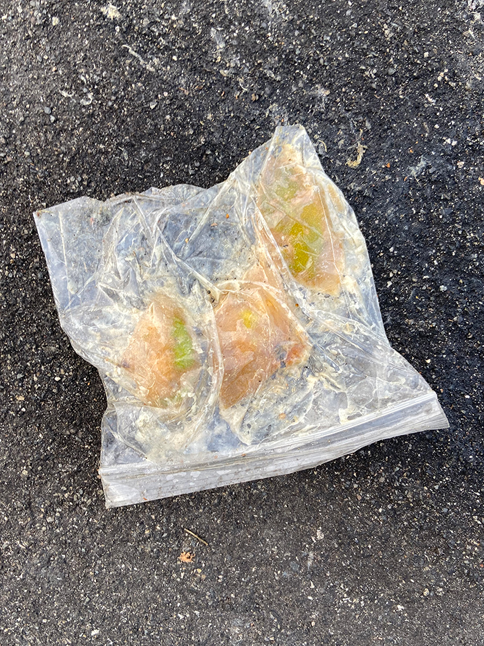 ziplock bag with unidentifiable yellowish wet food inside