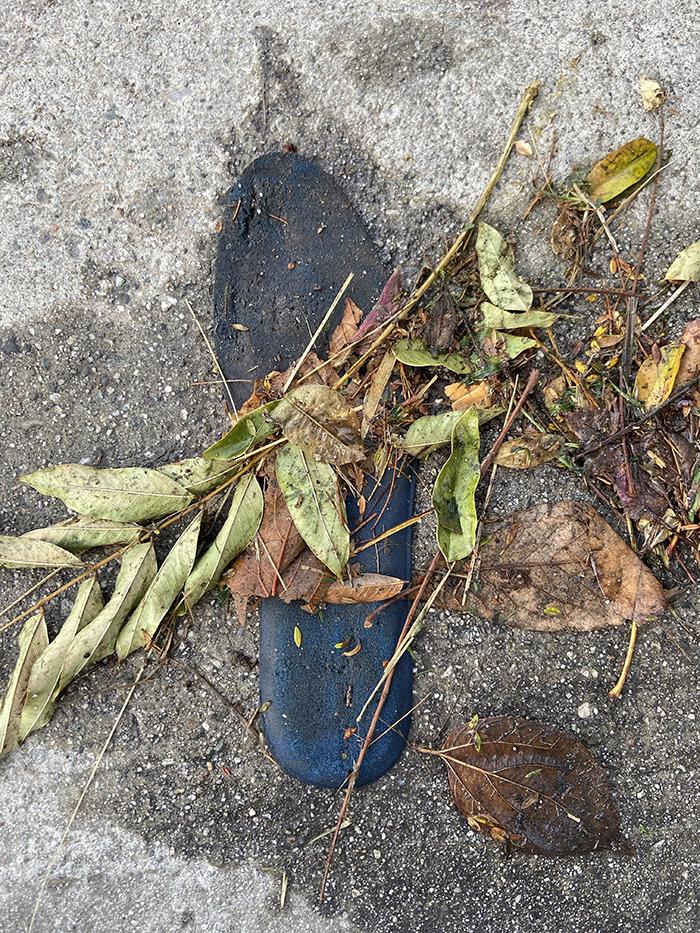 shoe insole with wet leaves over it