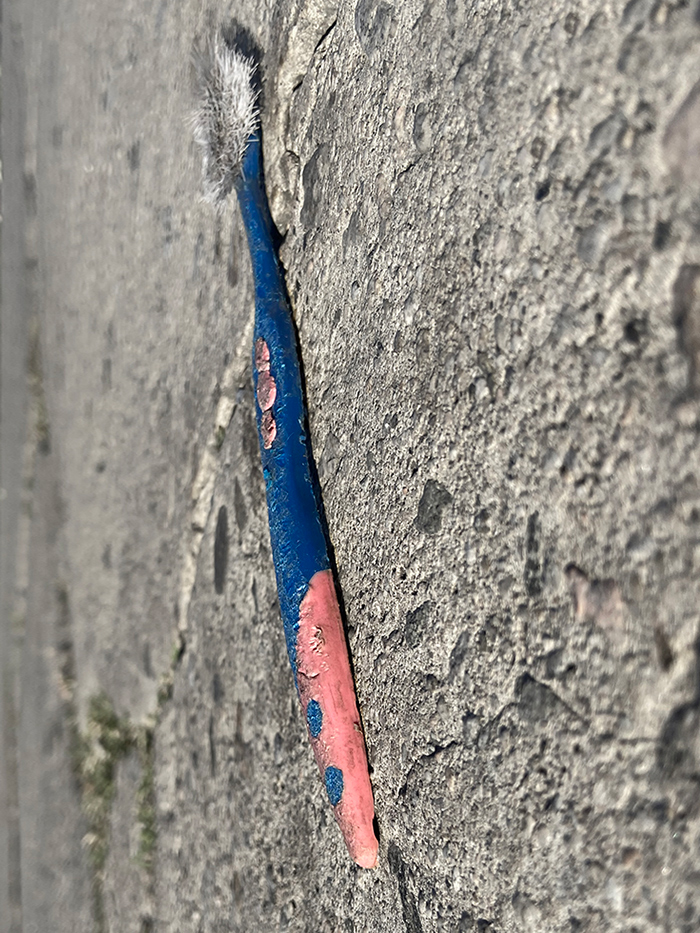 smashed blue and pink toothbrush on concrete