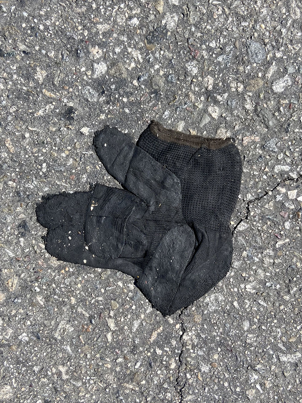 folded and flattened black gardening glove